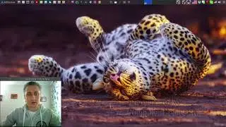 Аrch linux проверка и настройка зеркал через reflector