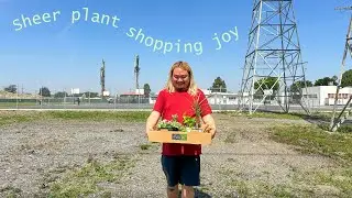 What 2 Trips to the Same Nursery Looks Like (Double Mega Haul)