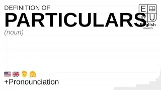 PARTICULARS meaning, definition & pronunciation | What is PARTICULARS? | How to say PARTICULARS