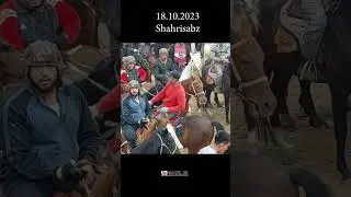 Шахрисабздан Сироч полвон от Ғайби акани дул дул отни билан  #shorts #horse #alochi #shahrisabz