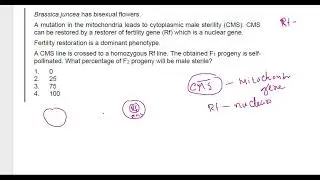 PAPER DISCUSSION CSIR NET LIFESCIENCE MORNING SHIFT 2024