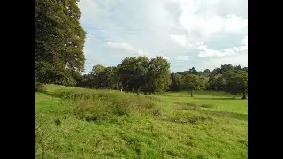 Walk 5th October 2024 - Ottery St Mary area.
