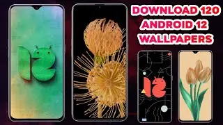 Download 100+ Android 12 Stock Wallpapers |Download Android 12 All Wallpapers |Android 12 Wallpapers