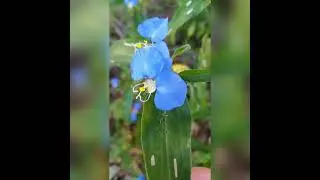 fotos tiradas com Samsung j8
