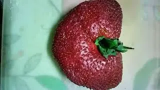 клубника невероятное  сердечко