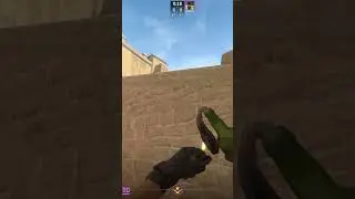 Molotov To Bomb Fnatic On Mirage In CS2 