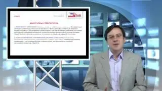 Личная эффективность руководителя. Лекция 6.