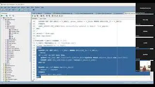 plsql coding using variables with multiple tasks