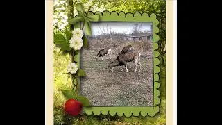 Болталка на гулянке