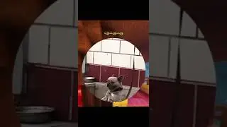 под мой Битбокс сделали видео с собакой