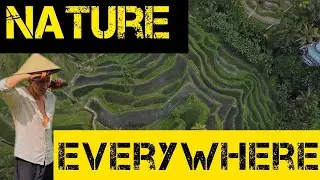 I love RICE and now I know why | Indonesia BALI