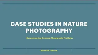 Case Studies in Nature Photography - Webinar