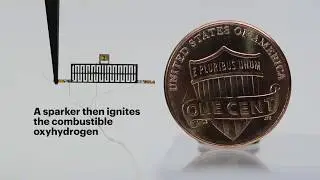 Robot Bees emerge from the water