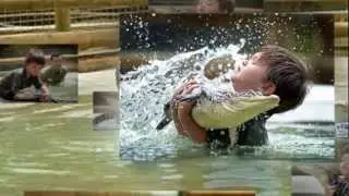 Слайд-шоу 