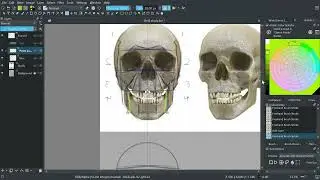 Skull Study Final