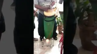 Palo palo con el caballo mayor
