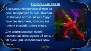 Что такое нейронные связи