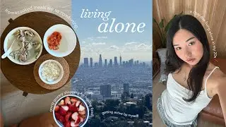 living alone diaries 🧸🧺 | getting productive! hiking, grocery haul & editing as a full-time creator