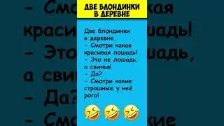 ДВЕ БЛОНДИНКИ В ДЕРЕВНЕ 😎 Самые смешные анекдоты про блондинок 