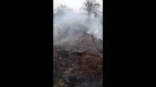 kebakaran hebat di lahan gambut