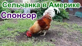 Сельчанка в Америке. Монолог Гены