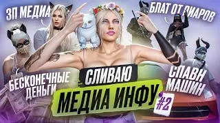 #2 ВСЁ О МЕДИА МАДЖЕСТИКА | КАСТОМКА, МЕДИА-АДМИНКА, ШТРАФЫ И ДР. | GTA 5 RP | MAJESTIC RP