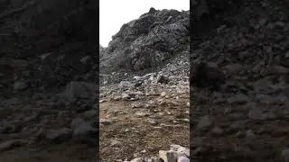 Козлы в Архыз