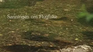 Sanningen om flugfiske (DS Flugfiskes julkalender 2012 - Avsnitt 1)