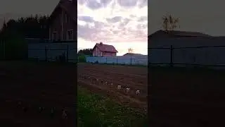 01.06.2023 Посадки начались.