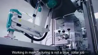 New Collar Job