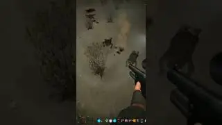 Лягушки тоже кусаются
