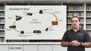 Soluciones Escalables de Video con el MCX-500 y EDGE Analytics Appliance (REA-C1000)