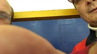 Газпр львы
