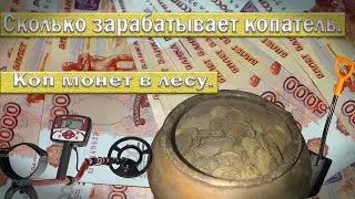 Сколько зарабатывает копатель. Коп монет.