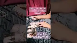 20 ноября 2022 г.