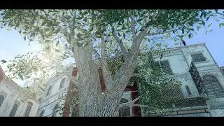 AC2 CryNation Installation | The Perfect Lighting Graphics Mod + Texture mod for Assassin's Creed 2