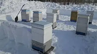 Продолжаю освобождать улья от снега
