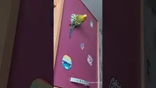 Ууу-Ти-Пу-Тиии ❤