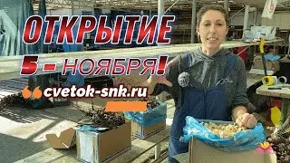 Распаковка вернувшихся посылок / Сад Ворошиловой