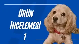 Kopeginize hazır bisküvi veriyor musunuz? izleyin