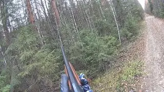 Охота на боровую. Осенью с подхода