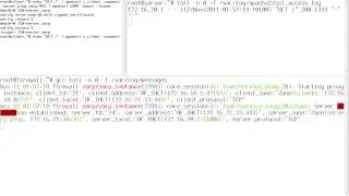 HTTPS proxy - SSL keybridge