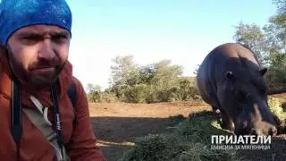 ПРИЈАТЕЛИ емисија за миленичиња - Војо Иванов (патување во Африка)