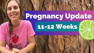 11-12 Week Pregnancy Update