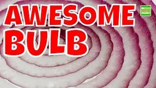 Awesome Health Benefits and High Nutrients Value of This Bulb You Need To Know.