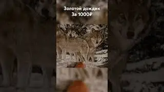 Два по 500₽ золотой дождик. #сериалы #приколы