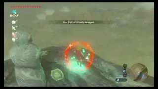BOTW: Ragdoll...Fun But Painful