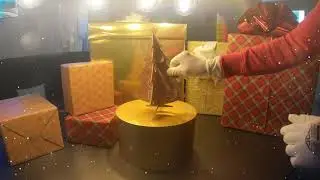 BVH Display Kerst 2022