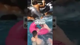 Рил: лето пацанов если бы не лысое чмо путлер #gachi #gayparty #danger #master #shorts #short #meme