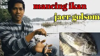 Mancing ikan jaer golsom